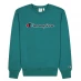 Мужской свитер Champion Logo Sweatshirt Green CDG