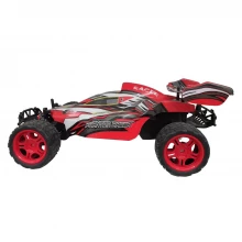 RC Monster Mud RC Buggy