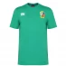 Мужская футболка с коротким рукавом Canterbury British and Irish Lions Jersey T Shirt Mens Green