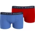 Детское нижнее белье Tommy Hilfiger Tommy 2 Pack Logo Trunks Red/Blue 0WK