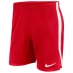 Мужские шорты Nike Shorts Red/White