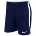 Мужские шорты Nike Shorts Navy/White