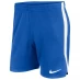 Мужские шорты Nike Shorts Blue/White