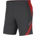 Мужские шорты Nike Academy Football Shorts Juniors Grey