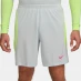 Мужские шорты Nike Strike Shorts Platinum/Volt