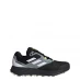 Мужские кроссовки adidas Terrex Two Flow Trail Running Shoes Mens Wonder Steel / Magic Grey Met