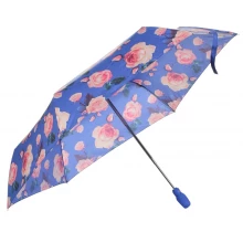 Женский зонт Fulton Superslim-2 Golden Celebration Umbrella