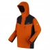 Мужская курточка Regatta Birchdale Waterproof Jacket Fox/IndiaGry