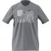 Мужская футболка adidas Graphic Logo T-Shirt Mens Grey Retro