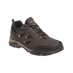 Чоловічі кросівки Regatta Holcombe IEP Low Walking Shoes Peat/GldFawn