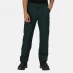Regatta Action Workwear Trousers (Regular Leg) Green
