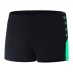 Мужские плавки Speedo BM Logo Aquashorts Mens Black/Green