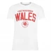 Мужская футболка с коротким рукавом Team Team Euro 2020 Fan T Shirt Wales Strong