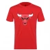 NBA Logo T Shirt Mens Bulls