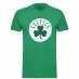NBA Logo T Shirt Mens Celtics