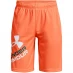 Детские шорты Under Armour Prototype 2 Logo Shorts Junior Orange