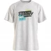 Tommy Jeans Tommy Hilfiger Faded Graphic Grey Marl PJ4