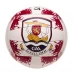 Team County GAA Ball Galway