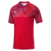 Мужская футболка с коротким рукавом Puma Cup Jersey Mens Puma Red/Wht