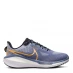 Жіночі кросівки Nike Vomero 17 Women's Road Running Shoes Blue/Metallic