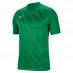Мужская футболка с коротким рукавом Nike Short Sleeve Challenge Tee Mens Green/White