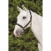 Kincade Deluxe Webbed Headcollar with Leather Crown Black