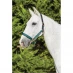Kincade Deluxe Webbed Headcollar with Leather Crown Hunter Green