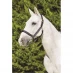 Kincade Deluxe Webbed Headcollar with Leather Crown Navy