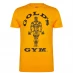 Golds Gym Gym Muscle Joe T Shirt Mens Gold