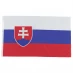 Team Flag Slovakia