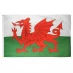 Team Flag Wales