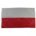 Team Flag Poland