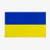 Team Flag Ukraine