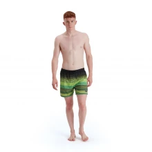 Мужские плавки Speedo Water Shorts Mens