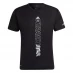 Мужская футболка с коротким рукавом adidas Terrex Agravic T-Shirt Mens Black