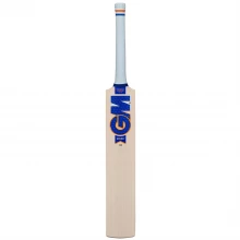 Gunn And Moore And Moore Sparq 300 Cricket Bat Juniors