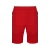 Мужские шорты Luke Sport Performance Squatt Shorts Tech Red