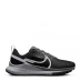 Жіночі кросівки Nike React Pegasus Trail 4 Running Shoes Womens Black/Grey