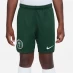 Nike Nigeria Home Match Shorts 2022 2023 Juniors Green
