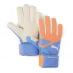 Puma Future Match Goalkeeper Glove Orange/Blue
