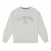 Женский свитер US Polo Assn Logo Sweatshirt Star White