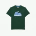 Lacoste Logo T-shirt Green 132