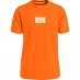 Calvin Klein Jeans Address Box T-shirt Orange SCB