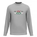 Мужской свитер Warner Brothers WB Friends Central Perk Logo Sweater Grey