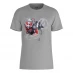 Marvel Marvel Ant Man Avengers T-Shirt Grey