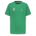 Мужская футболка с коротким рукавом Rugby World Cup World Cup Nation Tee Sn Ireland