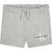 Calvin Klein Jeans CKJ Lgo Shorts In32 Lght Grey PZ2