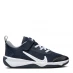 Nike Omni Multi-Court Shoes Navy/Grey