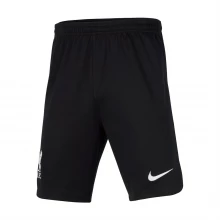 Детские шорты Nike Liverpool FC Stadium 2023 2024 Away Shorts Junior