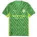Мужская футболка с коротким рукавом Puma Manchester City Goalkeeper Shirt 2023 2024 Adults Green/ Yellow